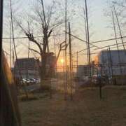 ヒメ日記 2025/03/22 07:20 投稿 キレカワ人妻　みほ様 こまっちゃうな奈良 Komacchauna nara