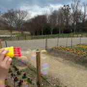 ヒメ日記 2025/04/15 08:32 投稿 キレカワ人妻　みほ様 こまっちゃうな奈良 Komacchauna nara