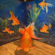 ヒメ日記 2025/05/05 09:48 投稿 キレカワ人妻　みほ様 こまっちゃうな奈良 Komacchauna nara