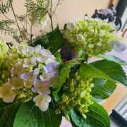 ヒメ日記 2025/06/05 08:02 投稿 キレカワ人妻　みほ様 こまっちゃうな奈良 Komacchauna nara