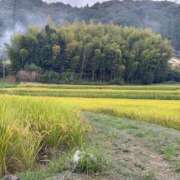 ヒメ日記 2025/09/20 08:19 投稿 キレカワ人妻　みほ様 こまっちゃうな奈良 Komacchauna nara