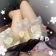 ヒメ日記 2025/03/26 15:33 投稿 さぁや 奥様メモリアル