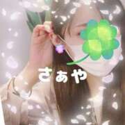 ヒメ日記 2026/02/28 09:57 投稿 さぁや 奥様メモリアル