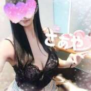 ヒメ日記 2026/03/31 10:03 投稿 さぁや 奥様メモリアル