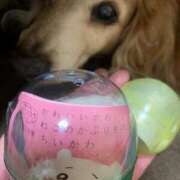 ヒメ日記 2024/12/21 22:48 投稿 エレナ ヴィーナス(金津園)