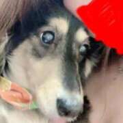 ヒメ日記 2024/12/22 18:12 投稿 エレナ ヴィーナス(金津園)