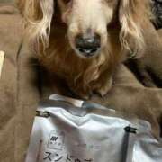 ヒメ日記 2025/01/18 00:27 投稿 エレナ ヴィーナス(金津園)