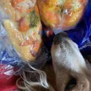 ヒメ日記 2025/01/22 02:33 投稿 エレナ ヴィーナス(金津園)