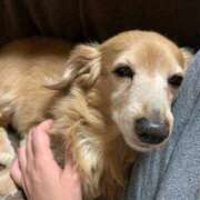 ヒメ日記 2025/02/07 19:21 投稿 エレナ ヴィーナス(金津園)