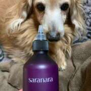 ヒメ日記 2025/02/12 21:06 投稿 エレナ ヴィーナス(金津園)