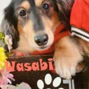 ヒメ日記 2025/02/15 16:34 投稿 エレナ ヴィーナス(金津園)