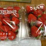 ヒメ日記 2025/03/04 13:36 投稿 エレナ ヴィーナス(金津園)