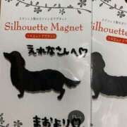 ヒメ日記 2025/03/22 21:06 投稿 エレナ ヴィーナス(金津園)