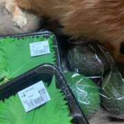 ヒメ日記 2025/07/11 01:15 投稿 エレナ ヴィーナス(金津園)