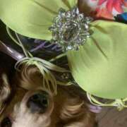 ヒメ日記 2025/09/03 09:12 投稿 エレナ ヴィーナス(金津園)