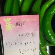 ヒメ日記 2025/10/07 01:51 投稿 エレナ ヴィーナス(金津園)