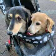 ヒメ日記 2025/10/23 15:18 投稿 エレナ ヴィーナス(金津園)