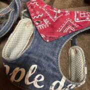 ヒメ日記 2025/11/17 10:18 投稿 エレナ ヴィーナス(金津園)