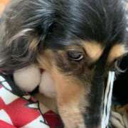 ヒメ日記 2026/03/14 00:03 投稿 エレナ ヴィーナス(金津園)