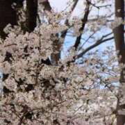 なつ 日記始めました 恋のうた