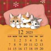 ヒメ日記 2025/12/07 10:46 投稿 ことみ 脱がされたい人妻 木更津店