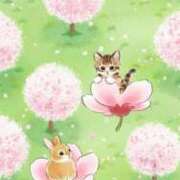 ヒメ日記 2026/03/17 19:50 投稿 ことみ 脱がされたい人妻 木更津店