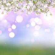 ヒメ日記 2026/04/13 14:28 投稿 ことみ 脱がされたい人妻 木更津店