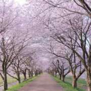 ヒメ日記 2025/03/23 11:59 投稿 れん 完熟ばなな 谷九店