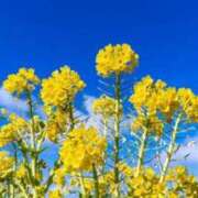 ヒメ日記 2025/03/26 09:49 投稿 れん 完熟ばなな 谷九店