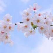 ヒメ日記 2025/04/11 09:49 投稿 れん 完熟ばなな 谷九店