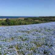 ヒメ日記 2025/04/11 10:09 投稿 れん 完熟ばなな 谷九店