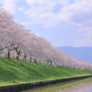 ヒメ日記 2025/04/16 09:42 投稿 れん 完熟ばなな 谷九店