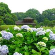 ヒメ日記 2025/06/01 12:09 投稿 れん 完熟ばなな 谷九店