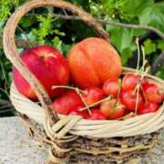 ヒメ日記 2025/07/21 10:09 投稿 れん 完熟ばなな 谷九店