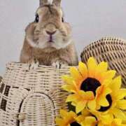 ヒメ日記 2025/08/17 11:49 投稿 れん 完熟ばなな 谷九店