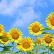 ヒメ日記 2025/08/24 09:59 投稿 れん 完熟ばなな 谷九店