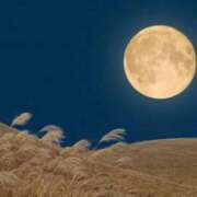 ヒメ日記 2025/09/07 09:34 投稿 れん 完熟ばなな 谷九店