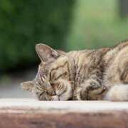 ヒメ日記 2025/09/28 12:19 投稿 れん 完熟ばなな 谷九店