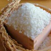 ヒメ日記 2025/10/07 09:49 投稿 れん 完熟ばなな 谷九店