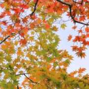 ヒメ日記 2025/10/29 18:20 投稿 れん 完熟ばなな 谷九店