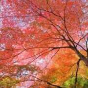 ヒメ日記 2025/10/29 18:59 投稿 れん 完熟ばなな 谷九店