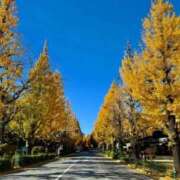 ヒメ日記 2025/11/02 13:39 投稿 れん 完熟ばなな 谷九店