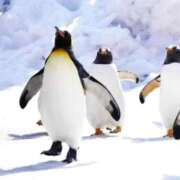 ヒメ日記 2026/03/29 11:59 投稿 れん 完熟ばなな 谷九店