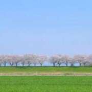 れん 16日14時ありがとうございました。 完熟ばなな 谷九店