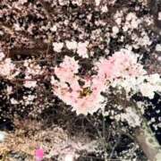 ヒメ日記 2025/04/27 15:19 投稿 おとは 恋愛マット同好会