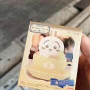 ヒメ日記 2025/11/06 15:18 投稿 あめ 小岩ときめき女学園