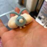 ヒメ日記 2026/02/02 13:58 投稿 あめ 小岩ときめき女学園