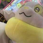 ヒメ日記 2026/04/21 12:18 投稿 あめ 小岩ときめき女学園