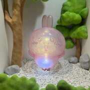 ヒメ日記 2026/04/24 12:44 投稿 あめ 小岩ときめき女学園