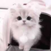 ヒメ日記 2025/09/07 20:00 投稿 ひかる 西川口マーメイド